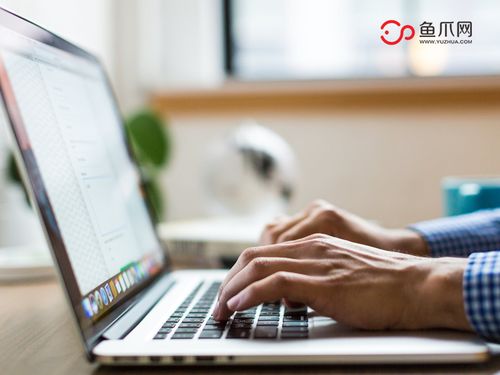 打破傳統(tǒng)，聚焦個(gè)體 從魚爪網(wǎng)看個(gè)人互聯(lián)網(wǎng)服務(wù)的品牌發(fā)展新路徑